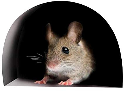 Akemaio 5PCS Lustige Mauseloch Abziehbild-Kunst-Aufkleber Mauseloch Wandtattoo-Maus-Wand-Aufkleber Lovely Home Küchen-Dekor