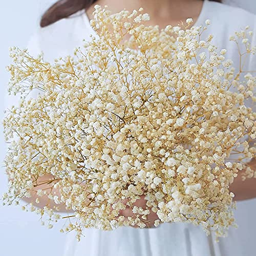 Dried Flowers Babys Breath Flowers Bouquet-17 inch 1600+ Ivory White Flowers, Natural Gypsophila Branches for Wedding DIY Home Party Decor Table Vase Decor(Ivory White)