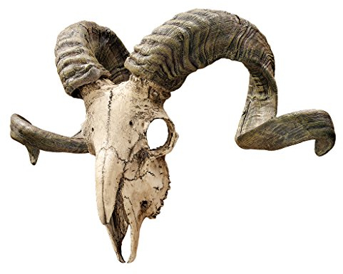 Design Toscano Wandtrophäe Korsischer Widder Schädel und Hörner, Maße: 47 x 18 x 29 cm