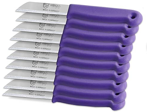 Obstmesser aus Solingen Schälmesser Küchenmesser 10er Set Lila Made in Germany Allzweckmesser Universal Messer mit Scharfer Messerklinge aus Rostfreiem Edelstahl inkl. Klingenschutz (Kurz)