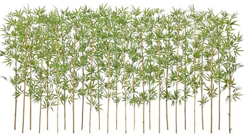 VeriNatural Bambú Artificial 180cm - Árbol Artificial Alta con Tronco Natural, Resistente UV, Planta Artificial Decorativa para Interior y Exterior - para Hogar, Oficina, Jardín y Eventos 24PCS,VN144