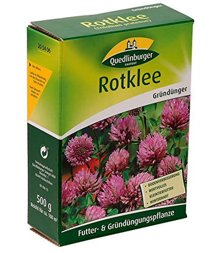 Quedlinburger 205406 Rotklee 500 g (Gründünger)