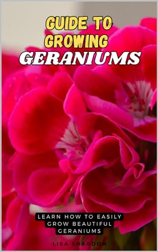 Guide to Growing Geraniums : Learn how to easily grow beautiful Geraniums