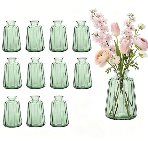 Otauoaea Juego de 12 jarrones pequeños de Cristal para decoración de Mesa de Boda, Estilo Vintage, Mini jarrones de Cristal para decoración de Mesa, Color Verde