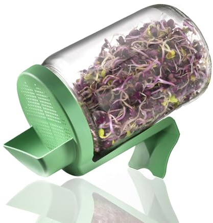 Germline BOC1 Germoir en verre, Vert