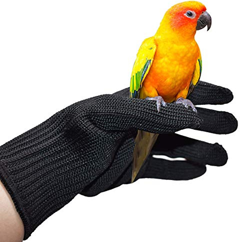 Nicoone Gants d'entraînement Anti-Morsure pour perroquets, Gants de Protection pour perroquets et Animaux Qui manipulent des Gants et Fil d'acier - Gants de Protection à mâcher(1 Paire)