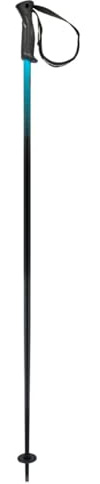 HEAD Frontside Black Blu, Bastoni da Sci Unisex Adulto, Speed Blue, 105