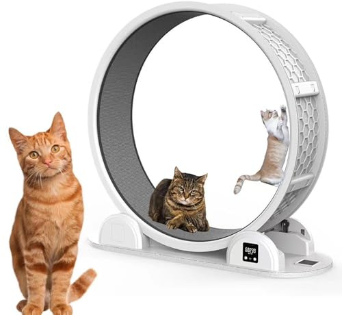 Rueda de ejercicio para gatos de interior con contador digital y pista alfombrada para ejercicio medible
