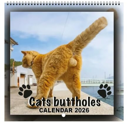 Calendario da parete 2026 – Agenda efficiente per la vita, calendario per gatti, calendario annuale da parete | Divertente calendario per gatti 2026, strumento di pianificazione, agenda familiare
