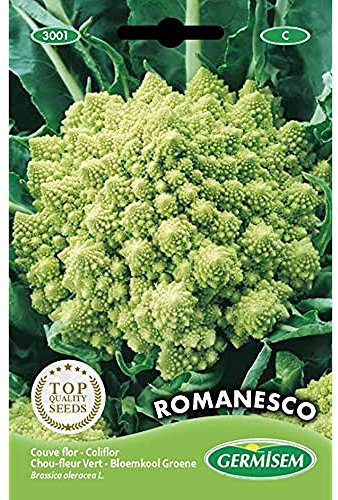 Germisem Blumenkohl ROMANESCO, mehrfarbig, EC3001
