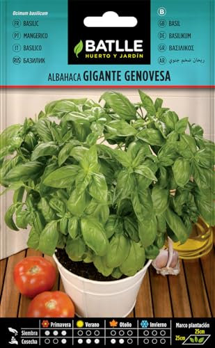 Peyca Semillas Horticolas - Albahaca gigante genovesa - Batlle