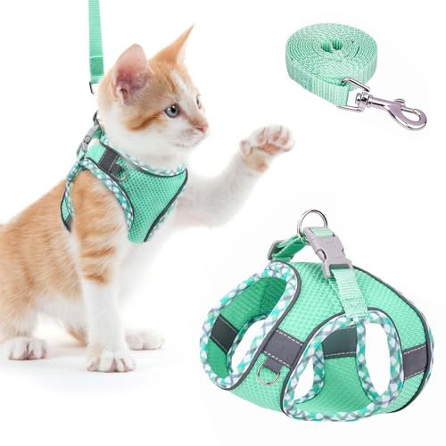 Brifit Katzengeschirr mit Leine - 150cm, Verstellbar Katze Brustgeschirr mit Reflektierend Streifen & Atmungsaktiv Netzgewebe, Softgeschirr für Katze, Katzengeschirr [XS] Anwendbares Gewicht: 3-5Kg