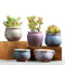Swsdee Maceta Suculenta,Macetas Decorativas de Cerámica,Maceta Cactus y Suculentas, con Agujero de Drenaje,para Plantas de Interior/Exterior, Flores, Cactus, Decoración del Hogar del Jardín