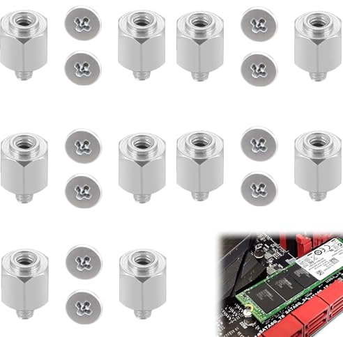 Juego de Tornillos de Ordenador,Tornillos para Ordenador SSD,Juego de Tornillos M.2 SSD,Juego de Tornillos M.2 SSD para la Montaje,Kit de Montaje para SSD M.2 NVMe,M.2 SSD NVMe Tornillos Juego PC