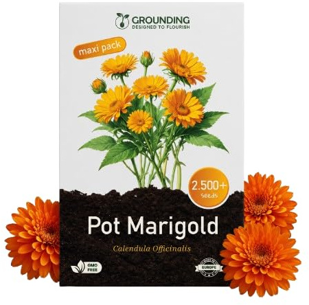 Grounding Maxi - Semi di Calendula mix arancio e giallo, 2500+ semi, altezza 30 cm. La Calendula officinalis è perfetta per balconi, aiuole e bordure - Semina facile - Qualità Europea