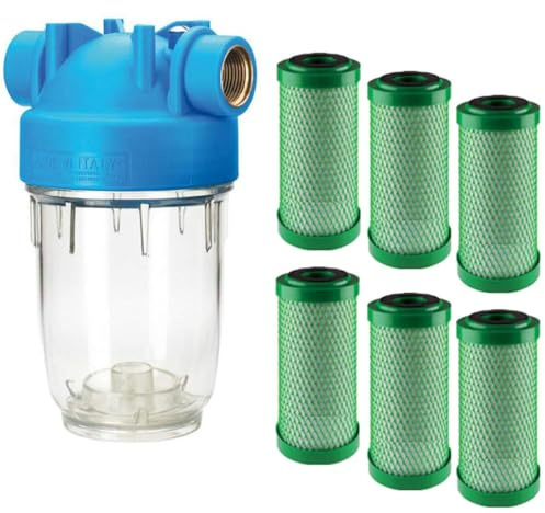 purway® DP 5 VOC 5 mcr vattenfilter 3/4 tum aktivt kolblock klor smak