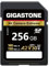 [5-Yrs Free Data Recovery] GIGASTONE A2 V30 256GB SDXC 4K Extreme Camera Series Memory Card 160MB/s. Canon Nikon Sony U3 UHS-I Class 10 Camera for 4K UHD Video with 1 Mini Case
