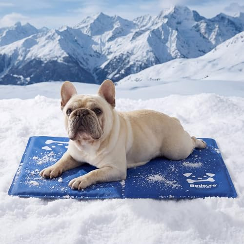 Bedsure Tappetino rinfrescante per cani, taglia media, 50 x 65 cm, cuscino in gel autorinfrescante con tessuto Oxford 300D resistente, letto portatile per cani, per interni ed esterni