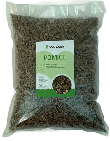 ValOak Pomice 5 L – Substrato Drenante per Cactus, Bonsai e Orchidee | Granulometria Fine | Migliora Aerazione e Drenaggio | Made in Italy (Fine 3/8)