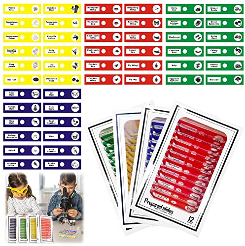 48 Stück Mikroskop Zubehör, Mikroskop Objektträger mit biologischen Proben, Mikroskop Präparate Objekttraeger für Lern Experiment Wissenschaft Bildung Kasten Objektträger Probe Aufbewahrung