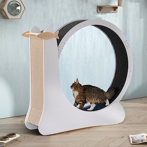 sogesfurniture Katzenlaufrad Holz, großes Laufrad für Katzen Laufen, Durchmesser 105cm, Super Leise Katzenrad Übungsrad für Heimtraining, mit großem Kratzbrett, Schneckenform