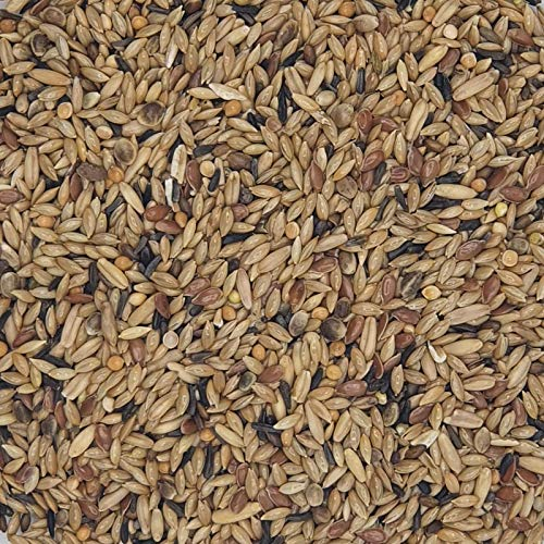 Gladen Kanarien ohne Rübsen 20kg - Premium Vogelfutter Mischfutter