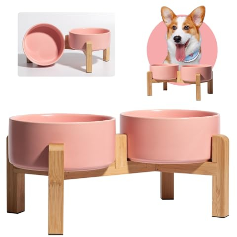 Hundenapf Set Erhöht Hunde Napfset - Doppel Napf Hund Keramik mit rutschfestem Ständer - Erhöhte Futterstation Hund 2er Set für Futter und Wasser - Ideal für kleine und mittelgroße Hunde - 2 x 850 ml