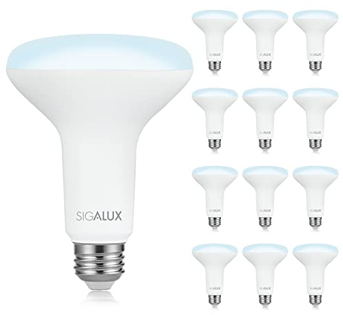 LED Flood Lights Indoor, BR30 LED Bulb 100W Equivalent, Dimmable Recessed Light Bulbs 5000K Daylight Can Light Bulbs, E26 Base Bulged Light Bulbs UL Listed, 12 Pack