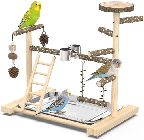 Chuiendi Bird Playground，Natural Wood Bird Perch Stand Parakeet Playground with Swing, Ladder & Feeder Cups，Birds Play Stand for Cockatiel Parakeet Lovebirds Conure