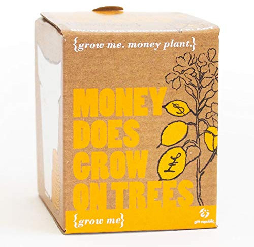 Gift Republic GR130011 Grow Me Money Does Grow On Trees, 7.0 cm*9.0 cm*8.5 cm