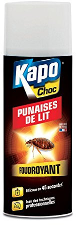 Kapo Aérosol punaises de lit - La bombe de 400ml