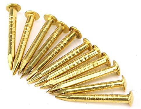 ViaGasaFamido 100Pcs Brass Escutcheon Tacks, Round Head Brass Nail Furniture Hinge Hardware Accessories Hardware Assortment Kit (15mm Length)