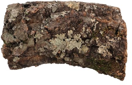 SHOWERORO Serpientes Diseño Natural de Árbol para Hábitats de Anfibios y Acuarios, Adecuado para Esconder y Excavar