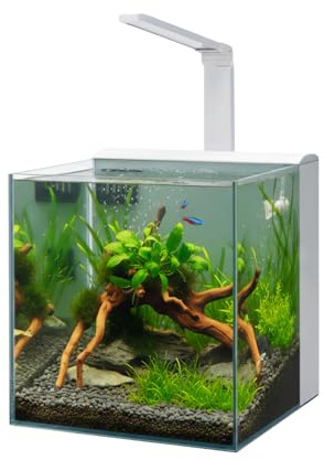 AQPET Acquario Completo Kubic Rear 30x30x30 cm in Vetro Extrachiaro – Con Filtro Posteriore Integrato e Lampada LED – Vasca Cubica Design Moderno (Colore Bianco)