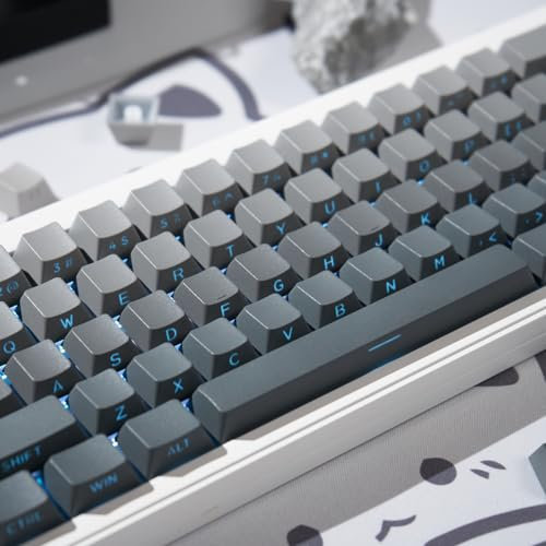 PBT Doubleshot Tastenkappen 134 Tasten Gradient Gray Backlit OEM Profil Tastenkappen Full Set Custom Keyboard Tastenkappen für Cherry Gateron MX Schalter Mechanische Tastatur