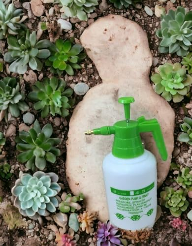 Spruzzino a pompa 2 litri giardinaggio spruzzatore a pressione per piante interno ed esterno fertilizzanti cura delle piante giardinaggio
