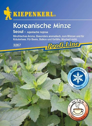 Kiepenkerl Koreanische Minze Seoul