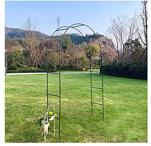 SHUITUKOUU Klätterställning för växter, spaljé, väderbeständig trädgårdsbåge av stål, lusthus för olika klätterväxter, utomhusgräs, 2,86 x 2,4 m (9,38 x 7,87 fot)