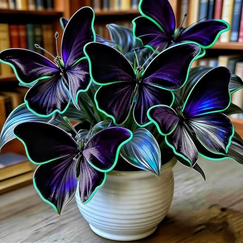 Hosta Rari - Facile Da Mantenere, Crescita Rapida per un Bellissimo Giardino-4bulbi-e