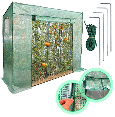 Jiubiaz Foliengewächshaus Gewächshaus mit Gitternetzfolie und Fernster für Garten Tomaten optimales Pflanzenwachstum Treibhaus Tomatenhaus, Schrägdach, Grün, 200 x 80 x 170/150cm (LxBxH)
