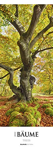 Bäume 2022 - Streifenkalender XXL 25x69 cm - Bildkalender im Hochformat - Wandplaner - Wandkalender - Bäumekalender