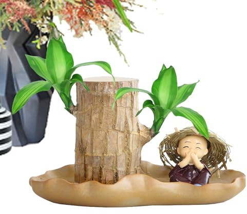 Madera de Brasil, madera hidropónica, plantas de escritorio de tronco de árbol pequeño, plantas de escritorio de interior, purificación de aire para sala de estar