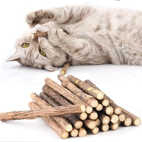 FAYAHAR 20 Pièces Bâtonnets d'herbe à Chat, Naturel Bâtons à Mâcher pour Chats, Jouets de Soins Dentaires pour Chats, pour Jouer, Mâcher, Soins Dentaires
