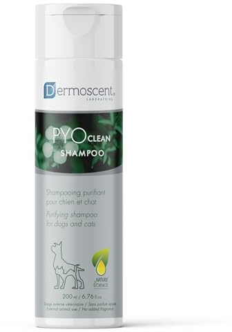 Antibakterielles Hundeshampoo gegen Hautinfektionen & Juckreiz | Mit Propolis, Honig & ätherischen Ölen | Feuchtigkeitsspendend für Hunde & Katzen | PYOClean Shampoo von Dermoscent
