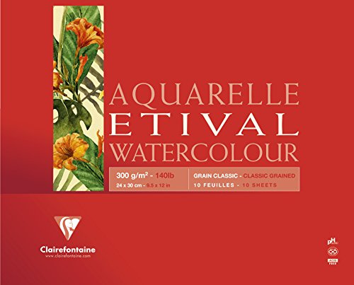 Clairefontaine 96396C - Un bloc encollé 4 côtés de papier dessin Etival Grain Classic 10 feuilles 24x30 cm 300g, Blanc