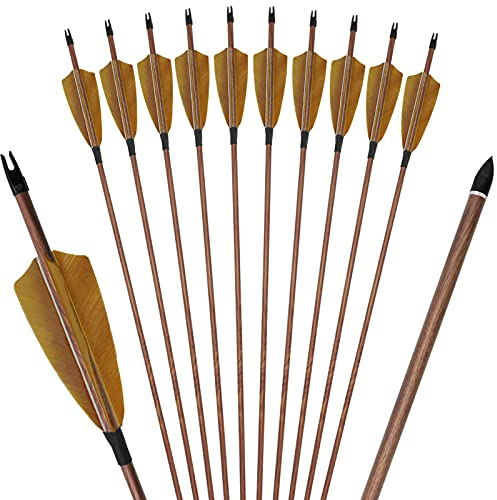 Carbon Pfeile, 6 x 28/29/30/31 Zoll, Spine 500, Beidhändig, für Recurve- und Compoundbogen, 6pcs 4 Braun Naturfeder