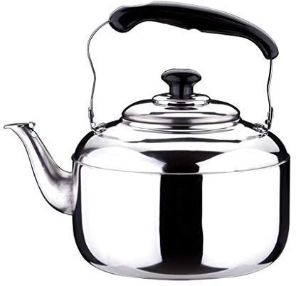 Sharplace 1 Pièce Bouilloire en Acier Inoxydable avec Poignée, Bouilloire pour l'Eau, Thé, Expresso, Lait, 5L