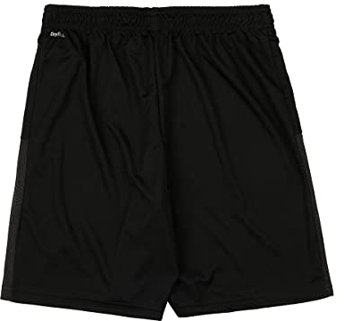 PUMA Jungen teamGOAL 23 knit jr Shorts, Black, 116