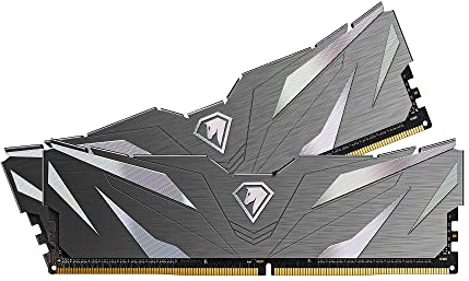 Netac DDR4 Ram 16GB (2×8gb) 3200MHz CL16, PC Ram für Desktop Gaming (XMP 2.0)