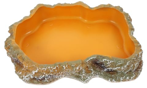 ibasenice Bol Eau Reptiles Taille M Gamelle Nourriture pour Lézards et Tortues Accessoires pour Terrarium Décoration Paysagère
